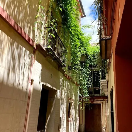 Appartamento Acogedor 8pax 4bdr 2bth - Cozyhomesevilla1 Siviglia